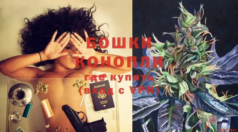 Каннабис OG Kush  Раменское 